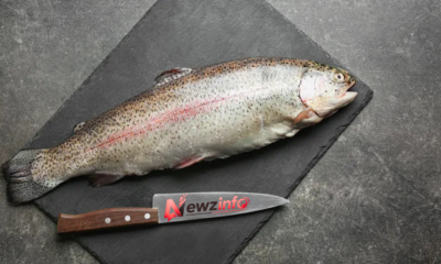 Steelhead Trout vs Salmon Nutrition