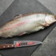 Steelhead Trout vs Salmon Nutrition