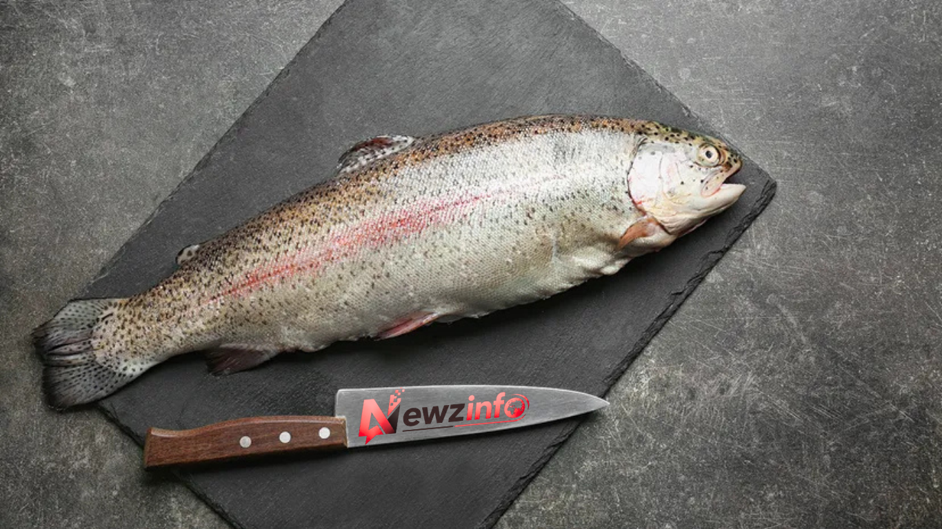 Steelhead Trout vs Salmon Nutrition